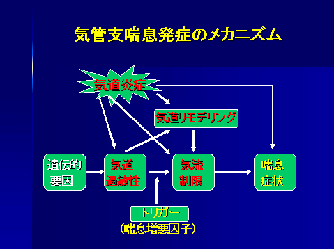 気管支喘息発症のメカニズム