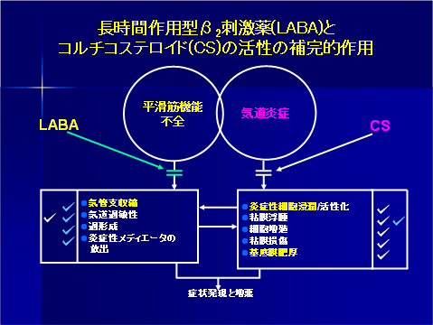 長時間作用型β2刺激薬（LABA）とコルチコステロイド（CS）の活性の補完的作用